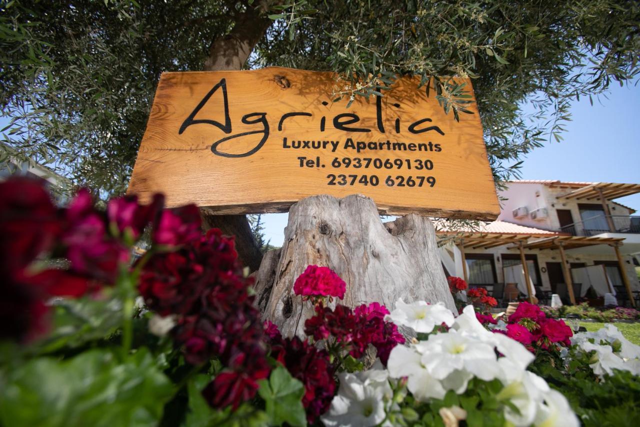 Agrielia Apartments 佩科霍里 外观 照片